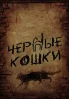Черные кошки смотреть онлайн сериал 1 сезон