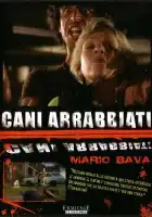  Дикие псы смотреть онлайн (1974) 