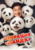  Операция «Панда» смотреть онлайн (2024) 