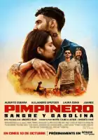  Пимпинеро: Кровь и бензин смотреть онлайн (2024) 