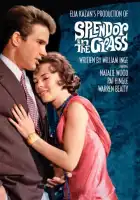 смотреть онлайн Великолепие в траве (1961) бесплатно в HD 