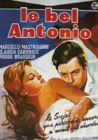 смотреть онлайн Красавчик Антонио (1960) бесплатно в HD 