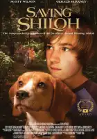 смотреть онлайн Спасая Шайло (2006) бесплатно в HD 