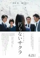 смотреть онлайн Сакура (2024) бесплатно в HD 