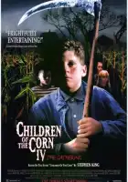 смотреть онлайн Дети кукурузы 4: Сбор урожая (1996) бесплатно в HD 