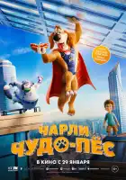 смотреть онлайн Чарли Чудо-пёс (2025) бесплатно в HD 
