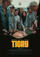 смотреть онлайн День тигра (2023) бесплатно в HD 